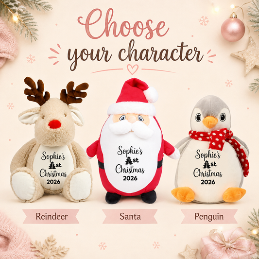 Personalised First Christmas Pyjama Case Teddy, Reindeer, Santa or Penguin